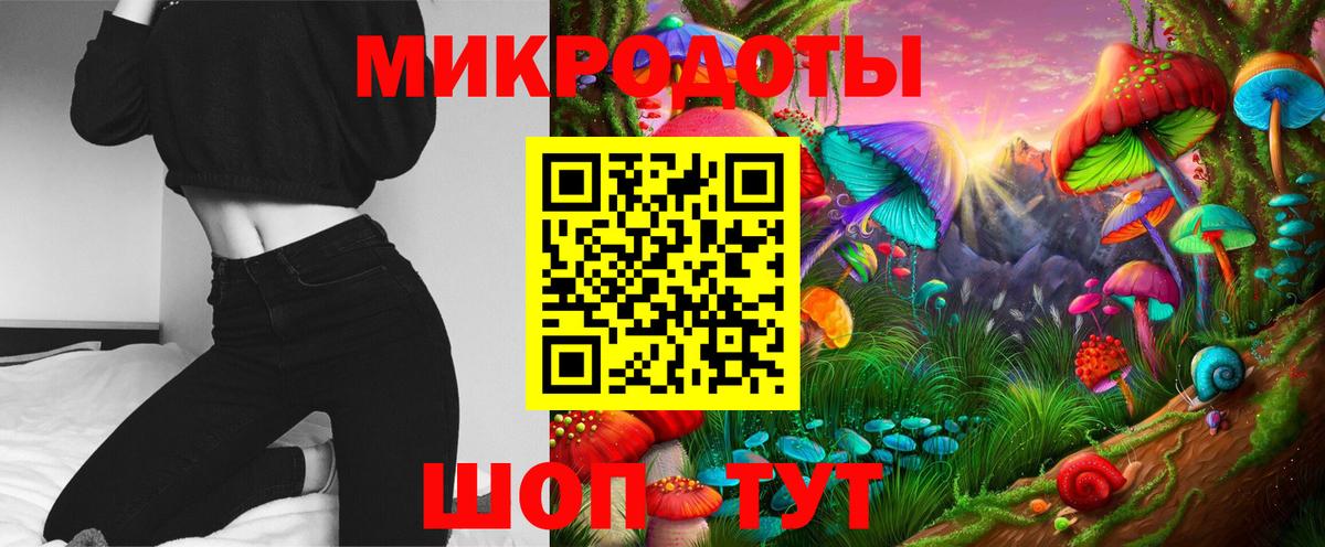 Псилоцибиновые грибы Psilocybe  Вход с VPN  Псилоцибиновые грибы GOLDEN TEACHER  Кумертау 